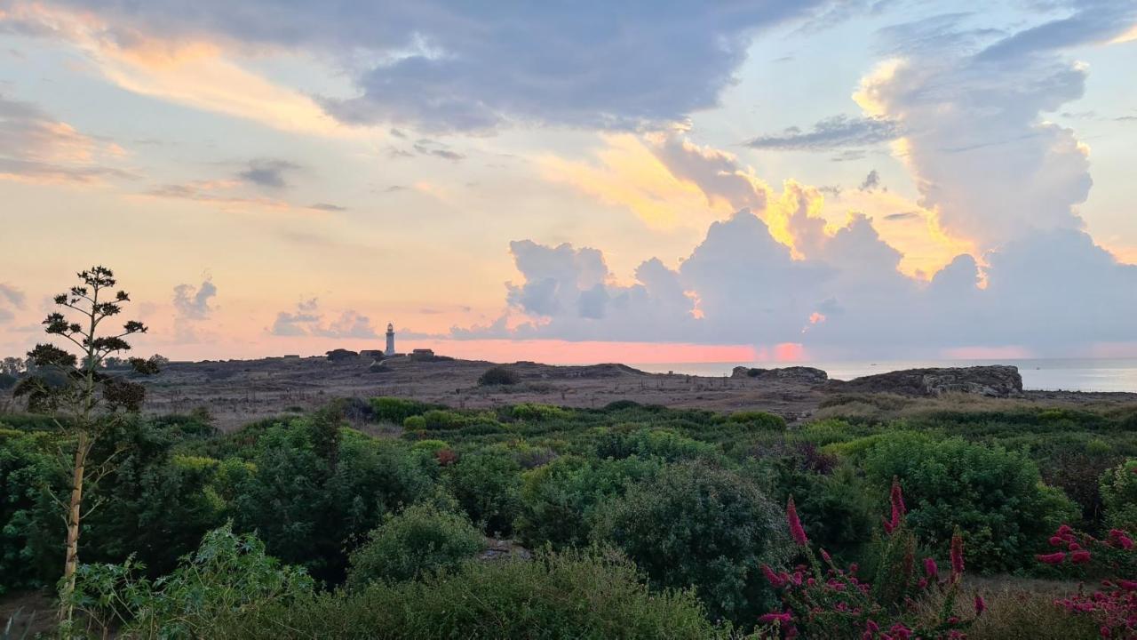 Phaedrus Living: Seaview Luxury Villa Venus بافوس المظهر الخارجي الصورة