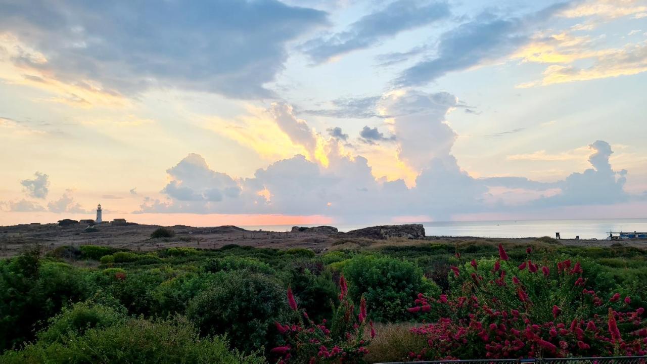 Phaedrus Living: Seaview Luxury Villa Venus بافوس المظهر الخارجي الصورة